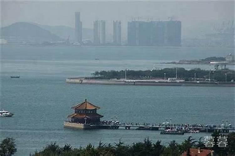 梦见大海水很清澈有一条大鱼