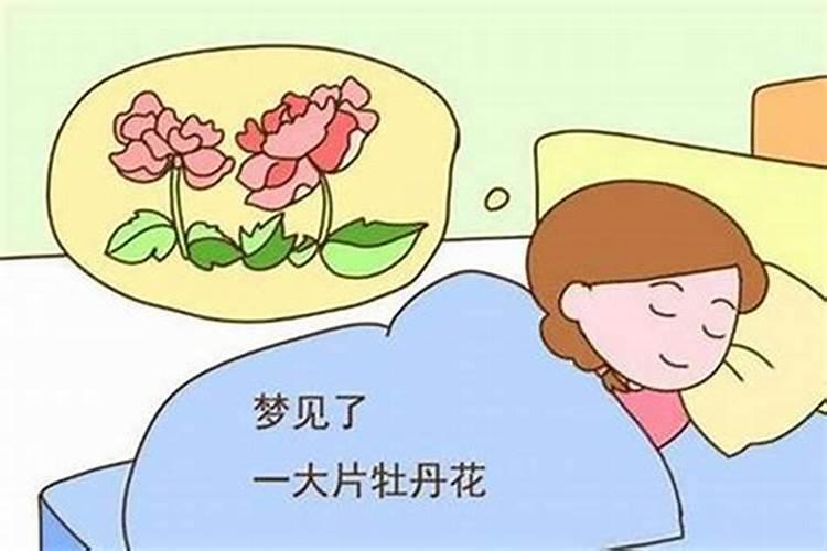 备孕梦到什么会怀女孩？