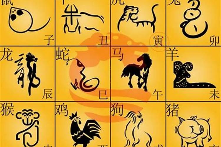 二八合婚是什么生肖？