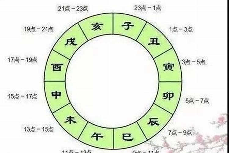 亥时和子时合婚吗？