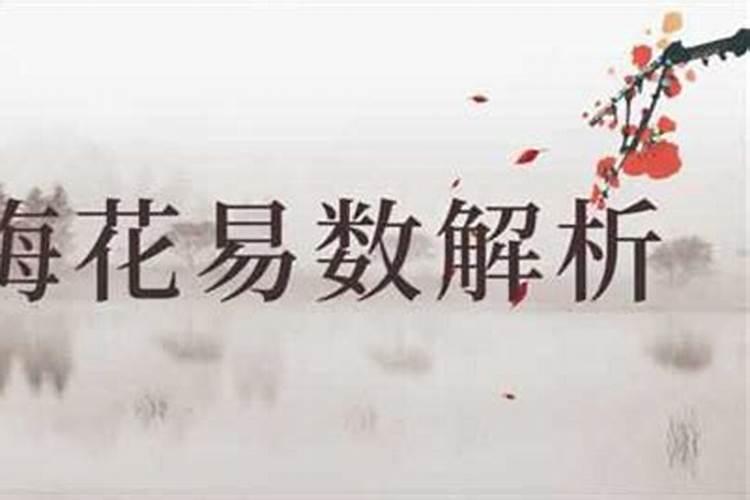梅花易数怎么算姻缘？