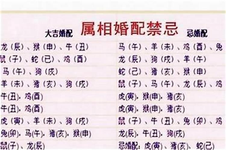 属相虎与兔婚配吗？