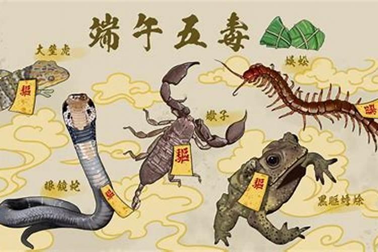 端午节五毒是哪五个？