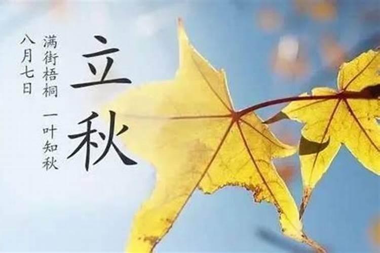 处暑立秋后注意哪些？