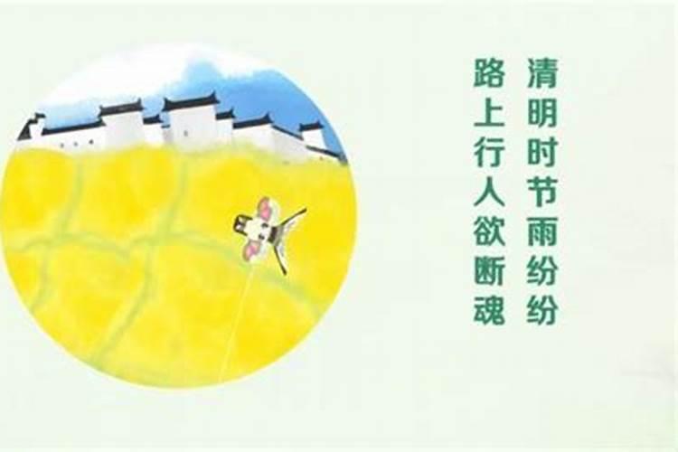 今日清明节这些习俗您了解多少？