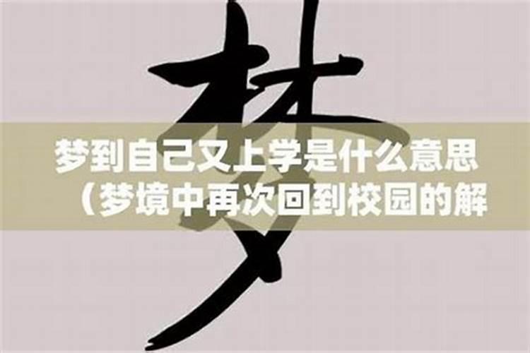 梦到自己又回到学校了