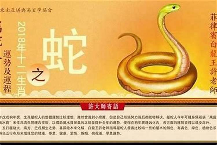 属蛇的十月运程如何？