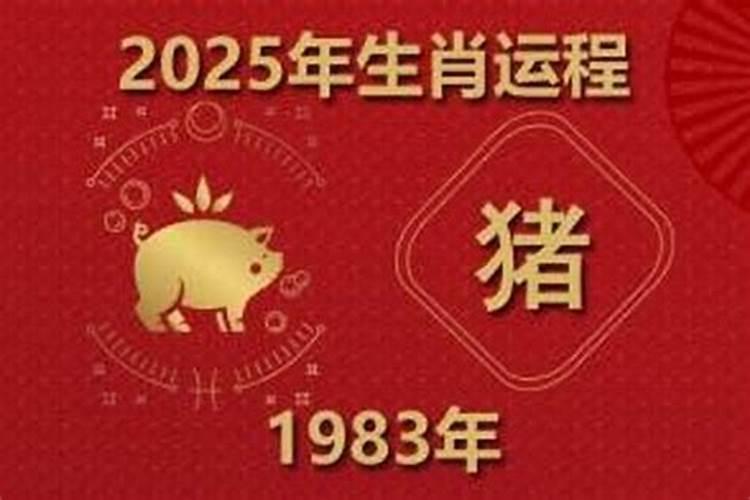1995年猪年2026年运程
