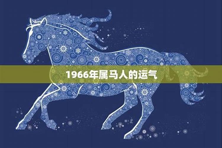 1966年属马的今年运势怎么样？
