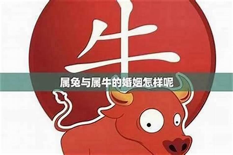 属牛的跟属虎的八字合吗？