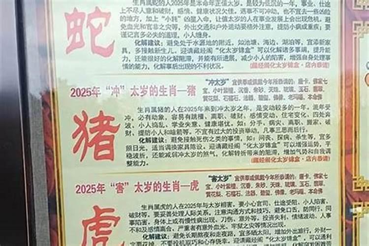 蛇2026冲太岁怎么化解？