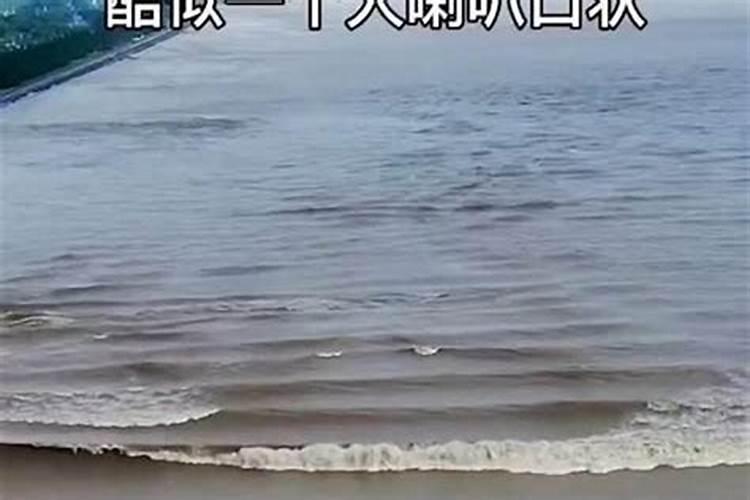 八月十五涨潮几点？
