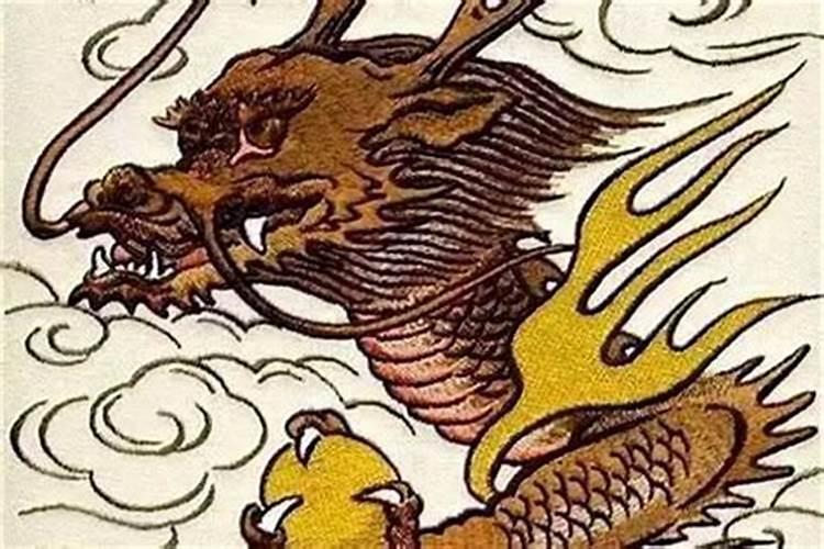 男龙配什么属相最好？