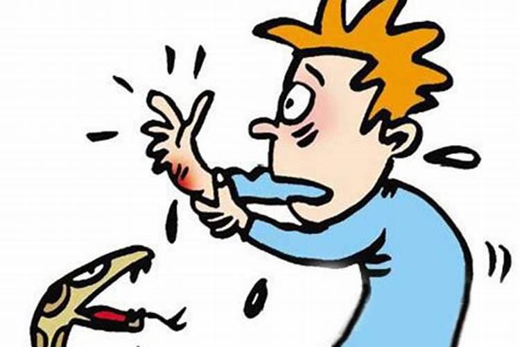 梦见被蛇咬了是什么预兆解梦？