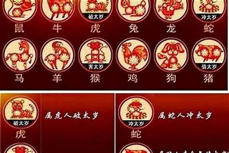 属猪如何化解破太岁？