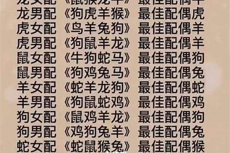属相婚配马配猪怎么样？