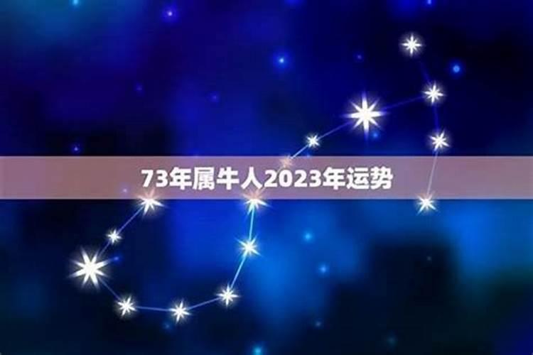 73年阴历十一月十七出生人的运程