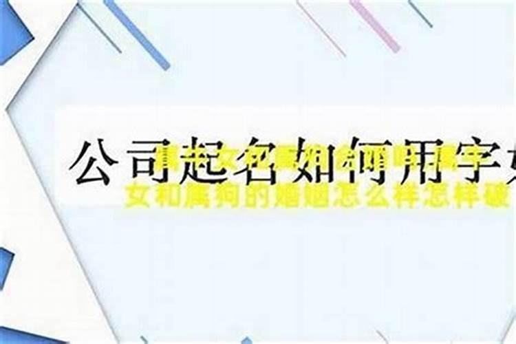 属狗的女与哪些不合婚？