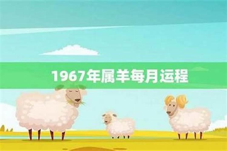 1967年属2026年的运程