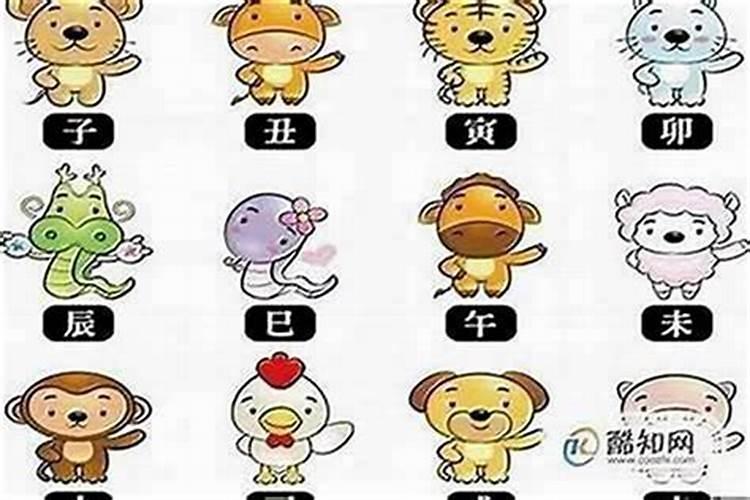 哪个属相人最好命？