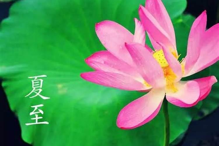 夏至出生的人好吗？