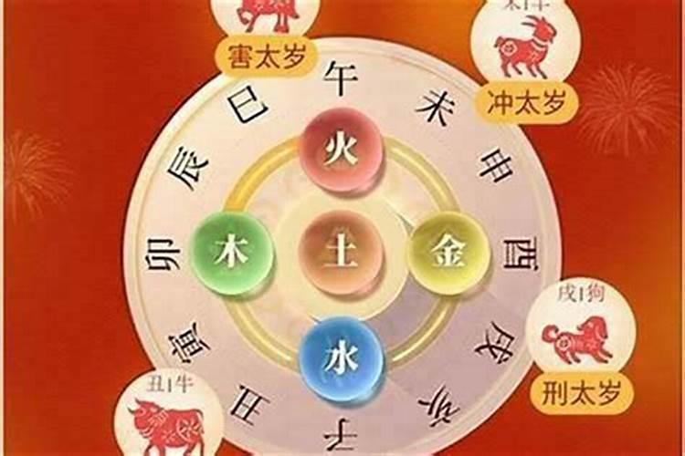 属虎的哪一年冲太岁？