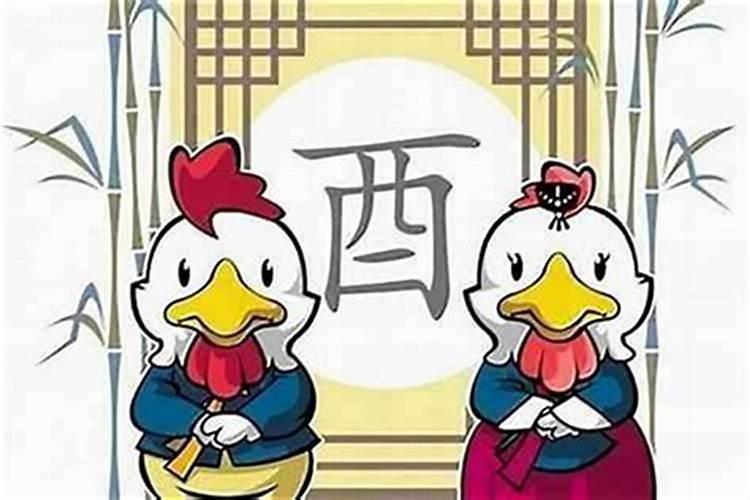 属牛的人和属鸡的人合婚吗？