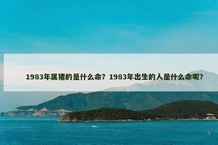 1983年出生的人是什么命？