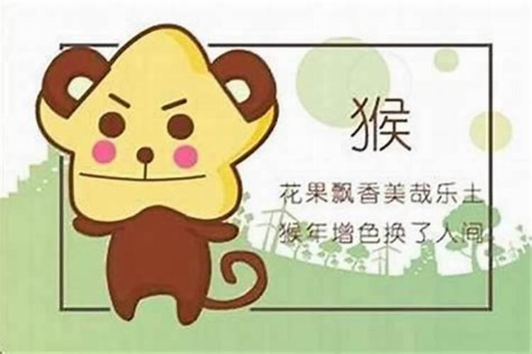 属狗的和属猴八字合吗？