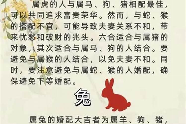 婚姻测算男鼠女属马