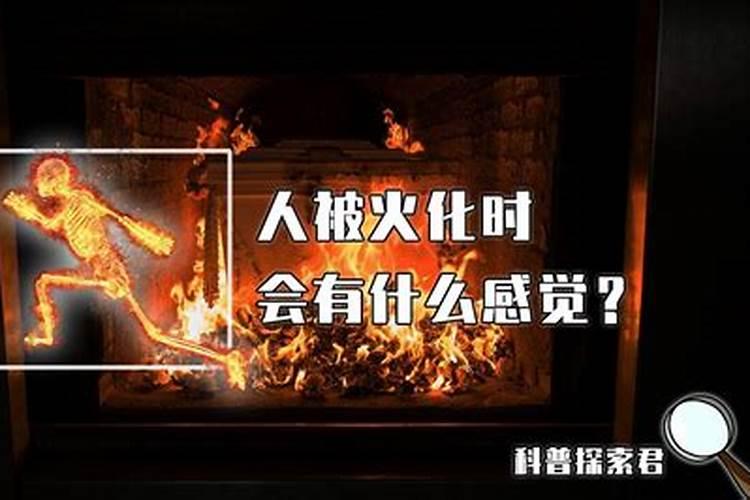 梦见活着的朋友被火化