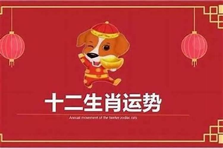 对于属狗的哪一年运势最好？