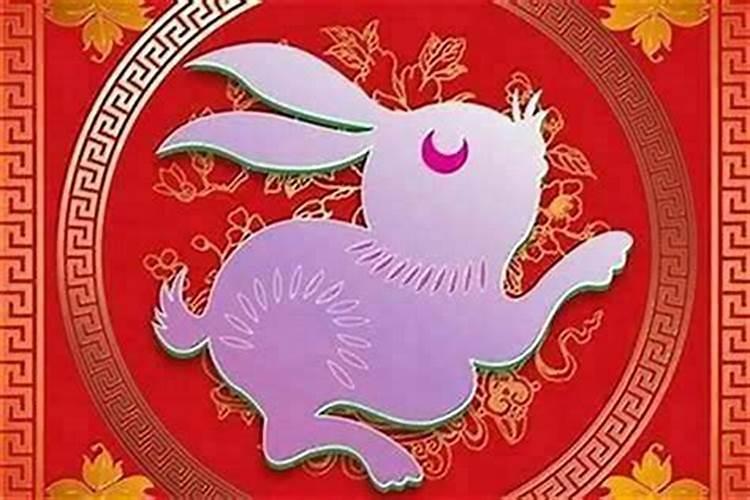 本命年前一年的讲究属兔什么意思？