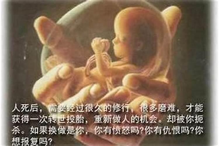 如何超度堕胎胎儿？