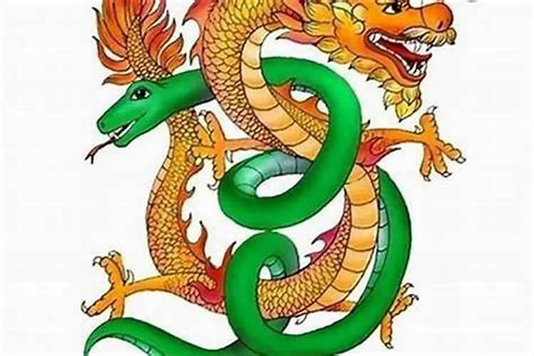 男龙和女主婚配属相好吗？