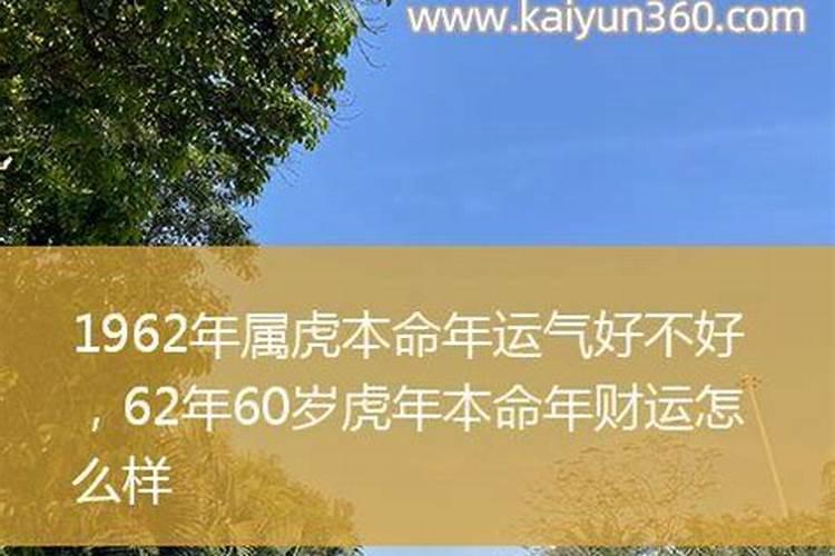 1963年兔一生运程如何？