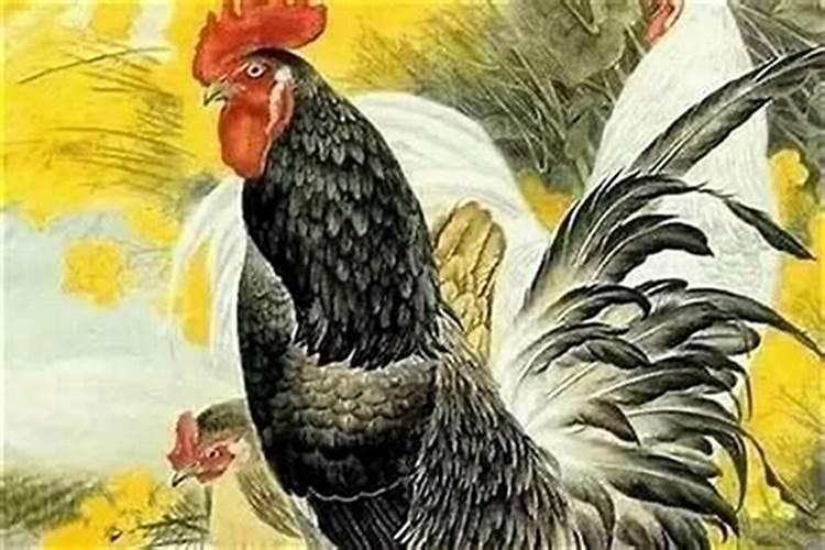属鸡2026年为什么破太岁？
