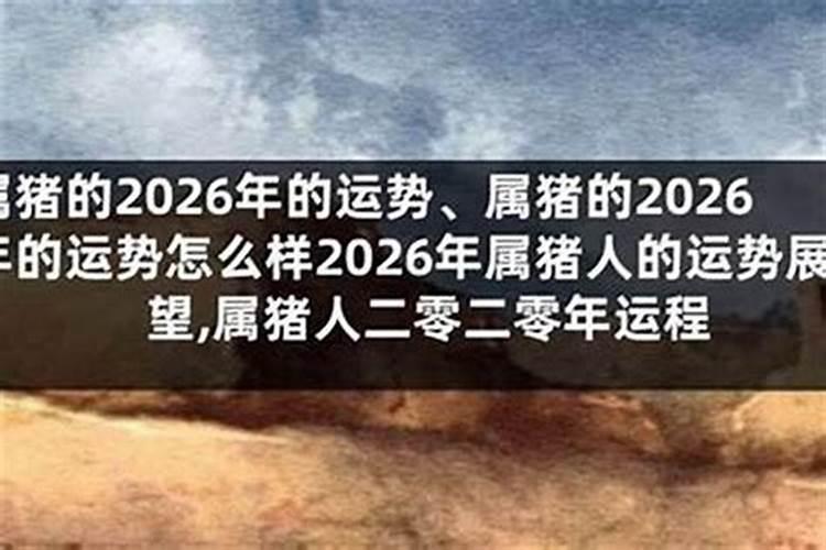 83正月生属猪女2026年运势