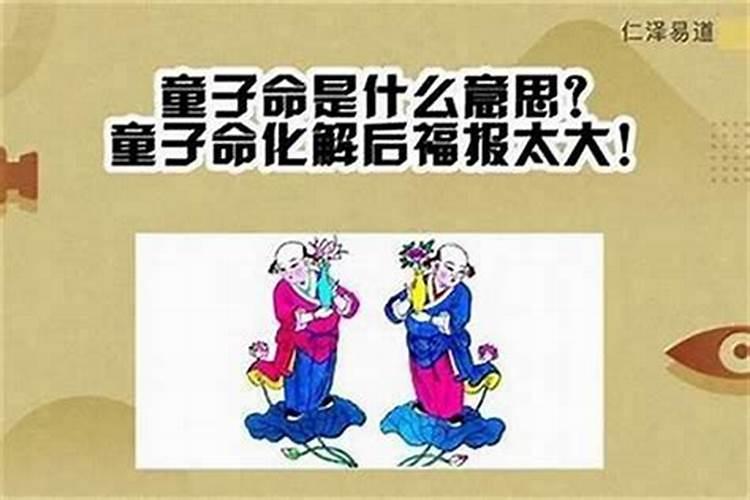 命带童子算命的准确度