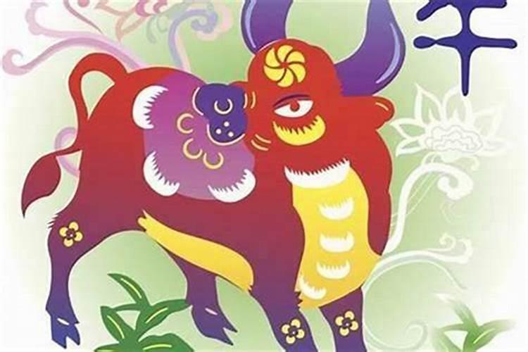 属牛与属虎八字合吗？