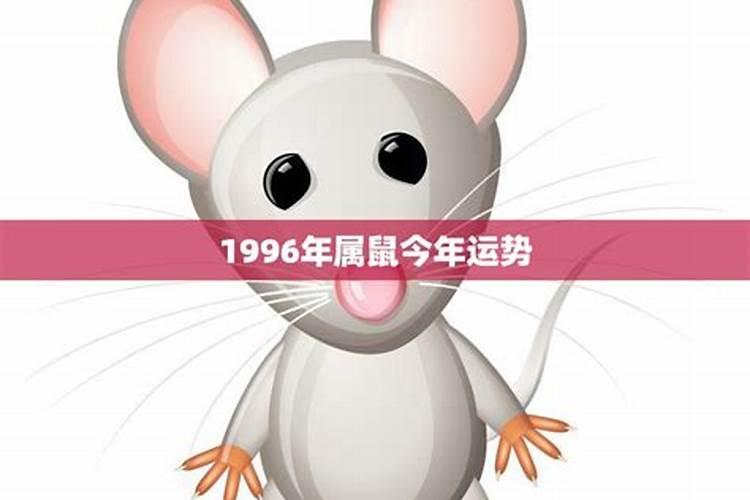 1996年属鼠人今年的运势如何？