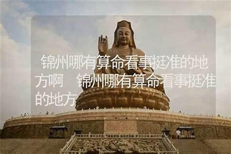 锦州哪里有算命的高人？