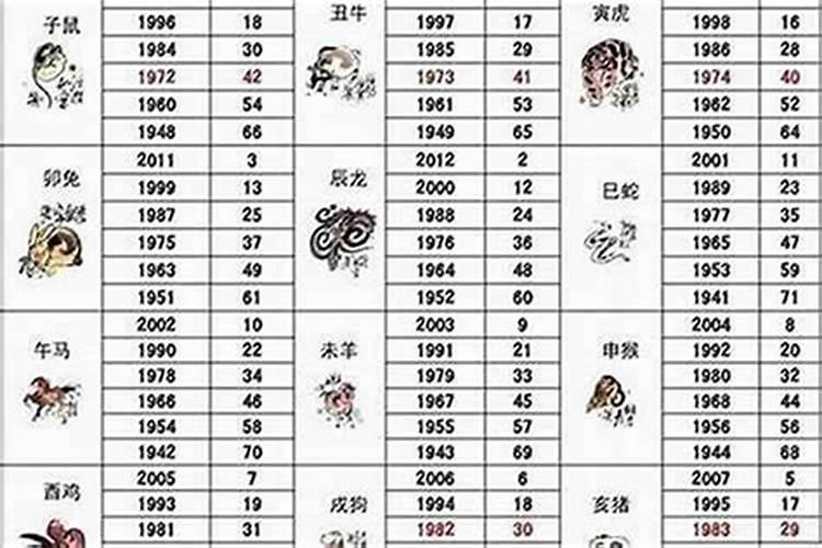 属狗出生时辰的运程