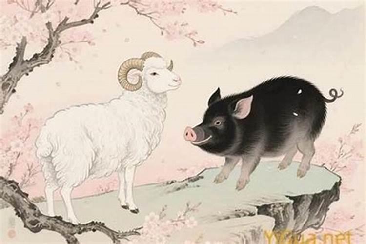 男羊女猪八字合吗？