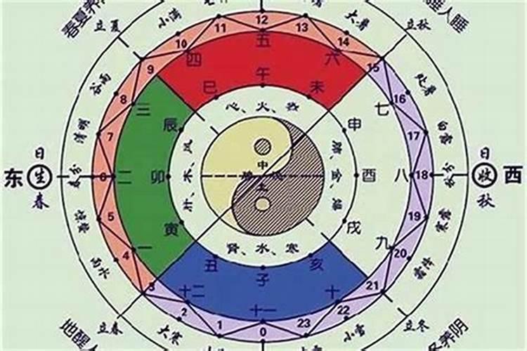 八字中什么是不合？