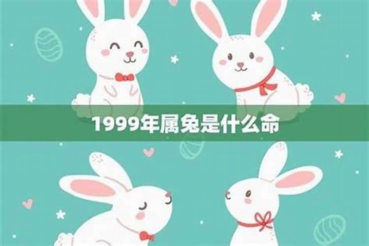 属兔哪一年本命年？