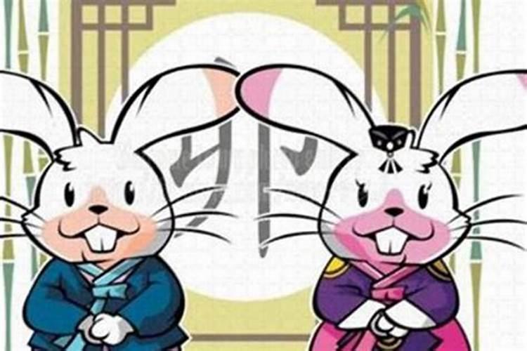 属兔与属龙的合婚吗？