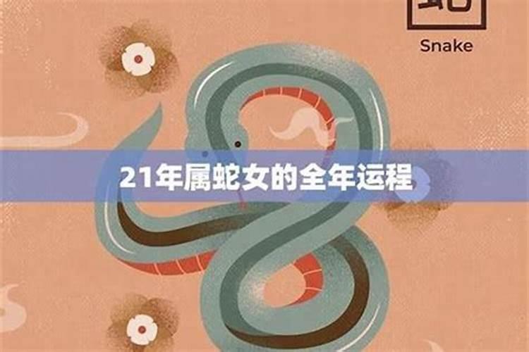 77属蛇人2026感情运势如何？