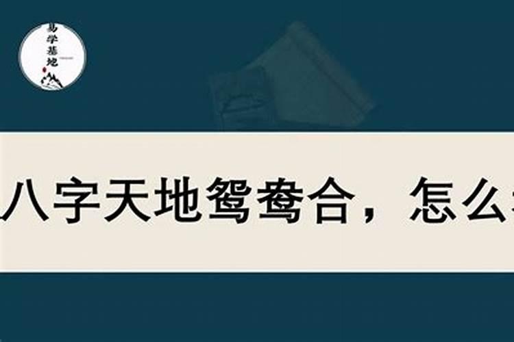 八字天地鸳鸯合怎么看？