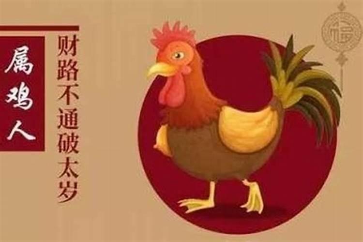 生肖鸡戴什么破太岁？